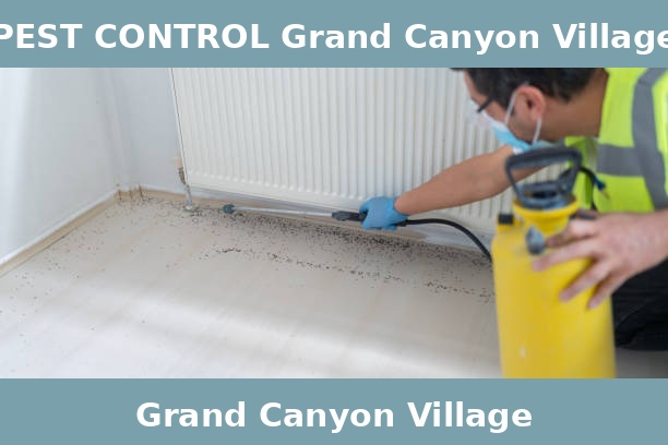 PEST CONTROL Grand Canyon Village